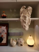 Alan Strickler review photo