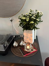 linda sachs review photo