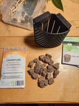 Paul review photo