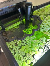 Corner Floating Corral Blocker. Floating Plants Organizer. Floating Aquarium Filter Guard. Automatic Height Adjustable with Water.