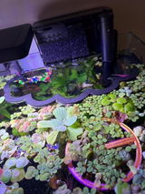 Corner Floating Corral Blocker. Floating Plants Organizer. Floating Aquarium Filter Guard. Automatic Height Adjustable with Water.