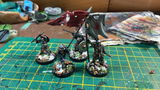 Adrain review photo