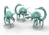 Maximillian review photo