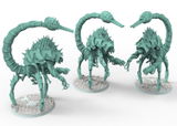 Dameon review photo