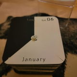 N. Flynn review photo