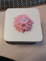 Mary Kay Burke review photo