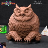 Nya review photo