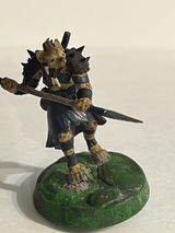 Lisa review photo