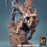 Randal review photo