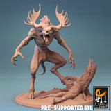 Orrin review photo