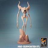 Rodger review photo