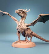 Kristofer review photo