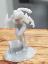 Amir review photo