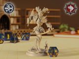 Elwin review photo