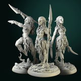 Isabell review photo