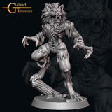 Jamar review photo