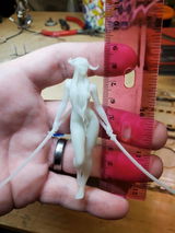 Imani review photo