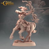 Wilfrid review photo