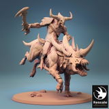 Walker review photo