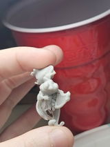 Sam Hale review photo