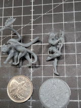 Nelson review photo