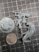 Nelson review photo