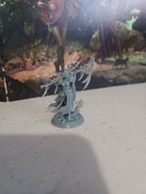 Reginald review photo