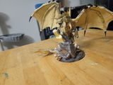 Drew Wakutz review photo