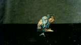 Zee review photo