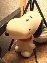 Mikey Z review photo