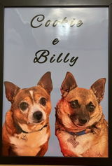 Quadro Personalizado com a foto do seu Pet