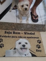 Tapete Personalizado com a Foto do seu Pet