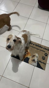 Chaveiro Personalizado com a Foto do seu Pet