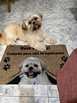 Tapete Personalizado com a Foto do seu Pet