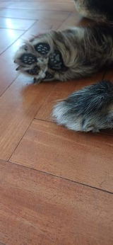 Soledad R. review photo