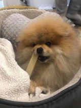 Customer review photo