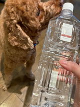 あ. review photo