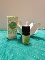 ﾘ. review photo