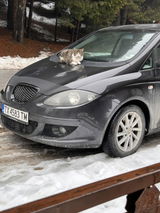 Ани Колева review photo