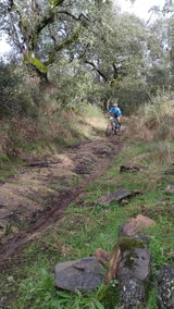Juan A.S.G. review photo