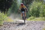 Domenico S. review photo