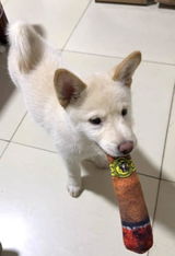 Coco’s Mom review photo