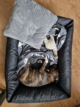 Aga review photo