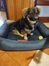 Agnieszka S. review photo