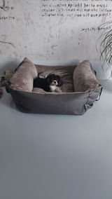 Verena Wehr review photo