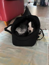 U.W. review photo