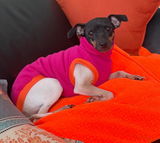 Nora review photo