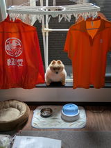 光夫 樋渡 review photo