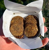 Cory review photo