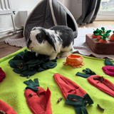 Snuffle Mat